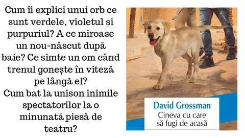 Cartea săptămânii: CINEVA CU CARE SĂ FUGI DE ACASĂ de David Grossman