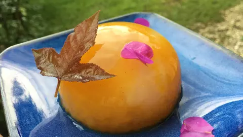 Cum se prepară corect agar-agarul, alga din care se obține gelatina vegetală