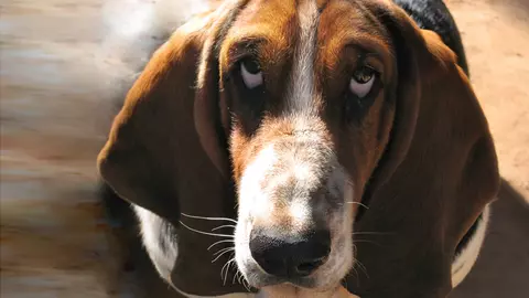 7 erori pe care le comitem când ne cerem scuze. Ce nu trebuie să spunem, ce nu trebuie să facem ca să nu înrăutățim situația