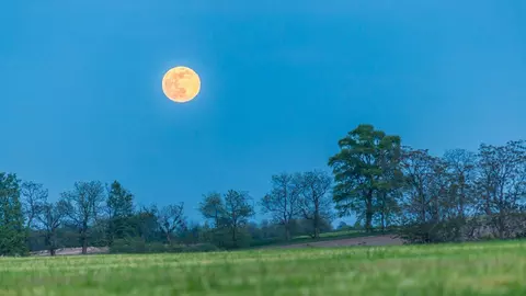 Cum sunt zodiile influențate de Luna Plină în Taur din 24 octombrie. Previziunile Uraniei