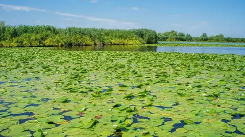 Ofertă Specială de Black Friday! 50% reducere la vacanțe în Delta Dunării