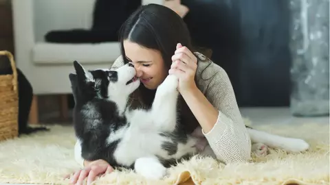 Pierderea unui animal de companie poate fi mai dureroasă decât pierderea unui iubit