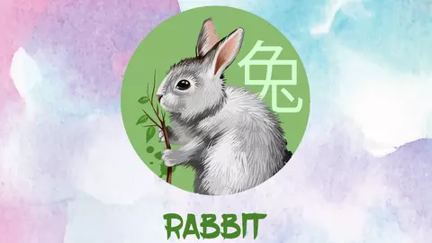 Horoscopul chinezesc 2019. Anul Porcului de Pământ pentru Zodia Iepurelui