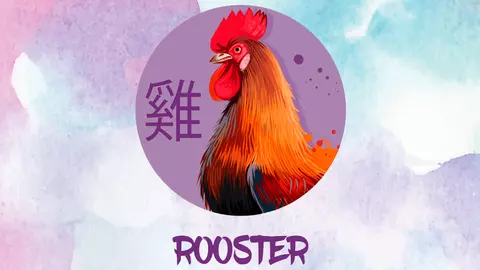 Horoscopul chinezesc 2019. Anul Porcului de Pământ pentru Zodia Cocoșului