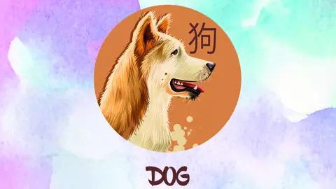 Horoscopul chinezesc 2019. Anul Porcului de Pământ pentru Zodia Câinelui