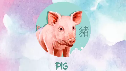 Horoscopul chinezesc 2019. Anul Porcului de Pământ pentru Zodia Porcului