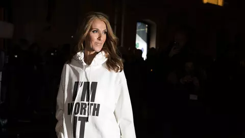 Celine Dion e la un pas să piardă toată averea