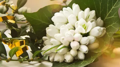 Cele mai frumoase urări de 1 Martie. Transmite-le celor dragi cele mai sincere gânduri în prima zi de primăvară