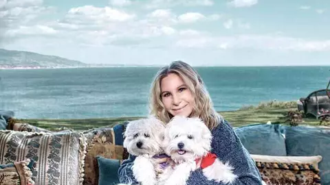 Barbra Streisand și-a clonat cățelușa. Poți s-o condamni?!?