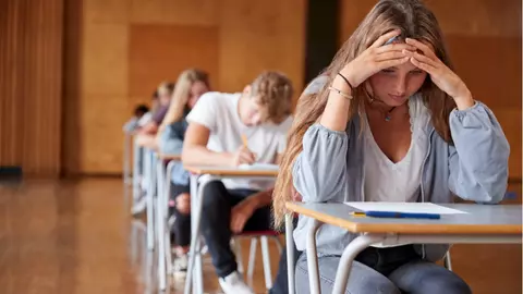 Simulare Bacalaureat 2019. Ce subiecte au avut de rezolvat elevii la Limba și literatura română și cum arată baremul de corectare?