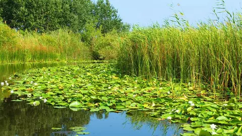 Incursiune în lumea tradițiilor lipovenești, în Delta Dunării
