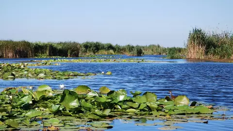 Ultimele zile cu reduceri de 40% la vacanțele Delta pentru Seniori și Delta pentru toți!