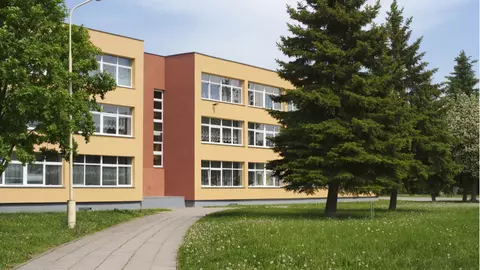 Un elev a sărit de la fereastra clasei, de la etajul 2