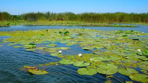 Sejur în Delta Dunării la tarife de - Plătește 1, Merg 2!