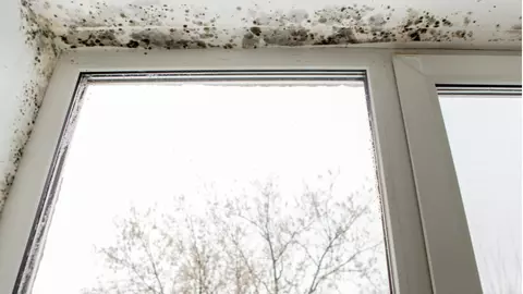 Termopanul provoacă igrasie, mit sau realitate? Iată ce spun specialiștii
