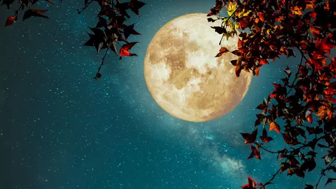 Luna Plină din 17 iunie 2019 ne pune față în față cu succesul sau eșecul alegerilor noastre. Urania ne spune cum sunt zodiile influențate de acest aspect al Lunii