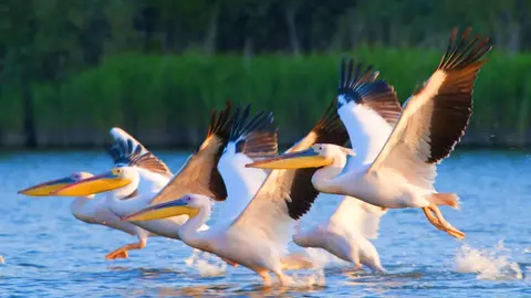 Delta Dunării - relaxare și aventuri în natură