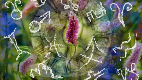 Horoscop 6 iulie. O zodie este răscolită de o întâmplare din trecut