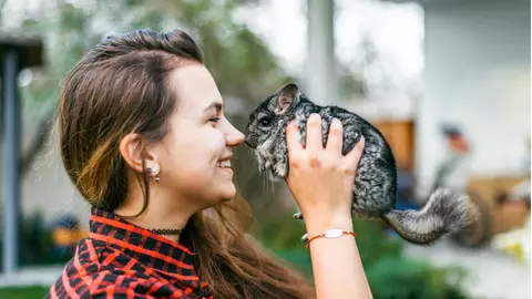 Noile animale de companie preferate de români