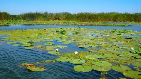 Ultra Last Minute: Plătește 1, Merg 3 la Gulliver Delta Resort 3*! Explorează Delta Dunării la început de toamnă!