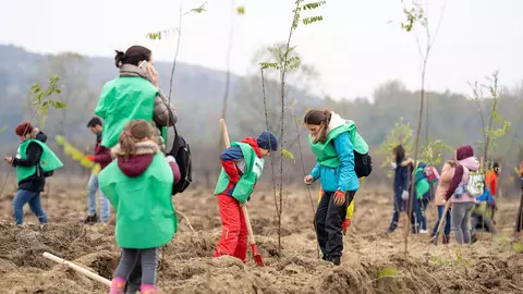 600 de voluntari au plantat peste 12.000 de copaci în doar câteva ore!