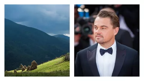 Leonardo diCaprio a pus ochii pe pădurile noastre