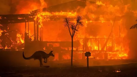 Imagini cu puternic impact emoțional surprinse în timpul incendiilor din Australia