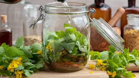 Acestea sunt plantele care vindecă bolile ficatului