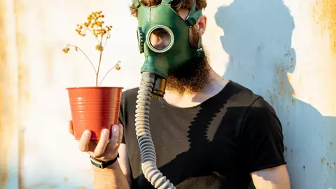 Plantele de apartament toxice care te pot omorî