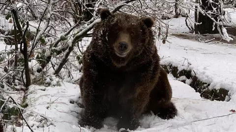 Ingenios! O rezervație naturală pentru animale sălbatice îți propune să te răzbuni pe foștii iubiți într-o manieră inedită