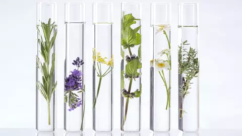 Eveniment #povestiurbane: Descoperă noua gamă FACE CARE de la Cosmetic Plant