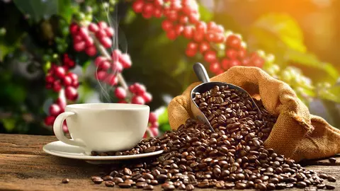 5 beneficii ale consumului de cafea! Ar trebui să o bei zilnic!