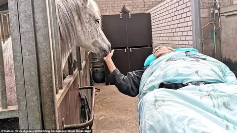 Un fost medic și-a făcut o afacere din îndeplinirea ultimelor dorințe muribunzilor