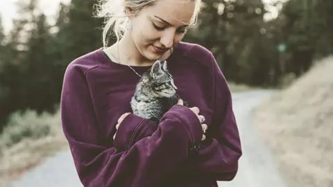 (P) Știai că există tratament CBD pentru animale? Află în ce situații este indicat!
