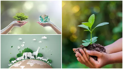 5 iunie, Ziua Mondială a Mediului: 10 moduri în care poți proteja natura!