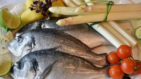 Peste toxic: ce sa nu mai mananci, lista celor mai toxici pesti