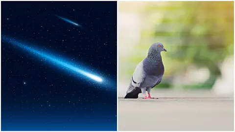 Știai că stelele căzătoare nu sunt, de fapt, stele? 10 informații pe care sigur nu le știai!