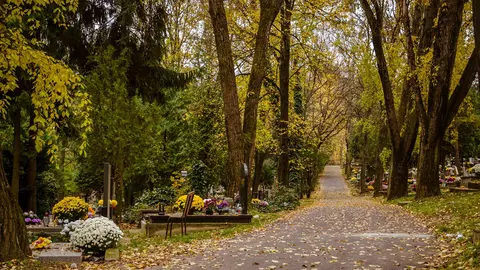 Horoscop 17 septembrie. Furtuni emoționale, nervi, țipete și furie