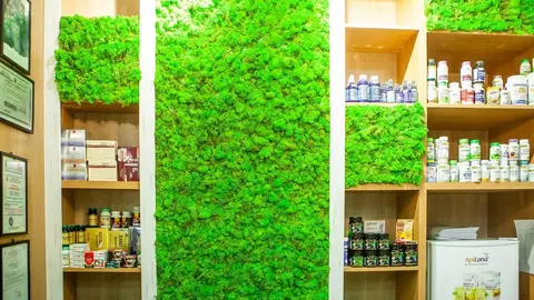 (P) Avantajele folosirii produselor naturiste de la Vitamix