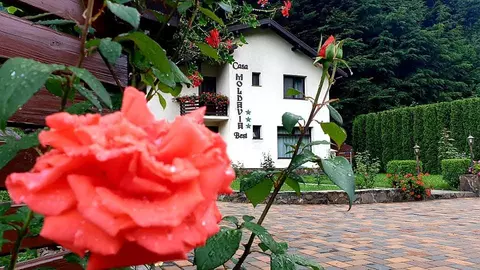 (P) Vila Moldavia Best – Destinația perfectă pentru un grup de 8 persoane
