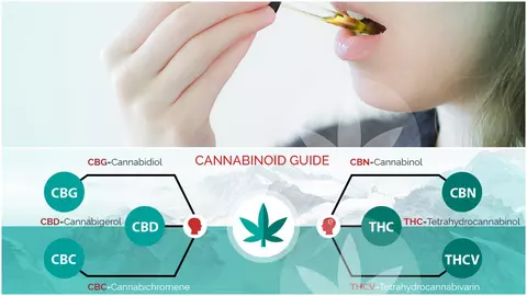 (P) Care sunt beneficiile uleiului CBD? Are proprietăți anti-acneice, ameliorează durerea și reduce anxietatea și depresia
