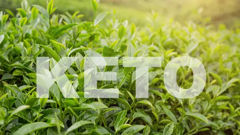 (P) Cel mai bun ceai de slăbit în dieta Keto
