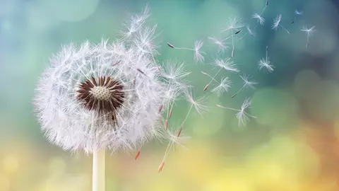 Horoscop 18 februarie, mari gelozii pentru o zodie, astăzi