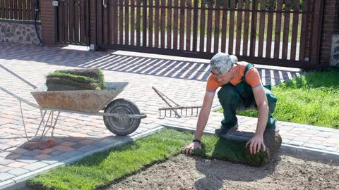 (P) Ce să schimbi în grădină pentru a crea un spațiu de poveste fără să apelezi la specialiști