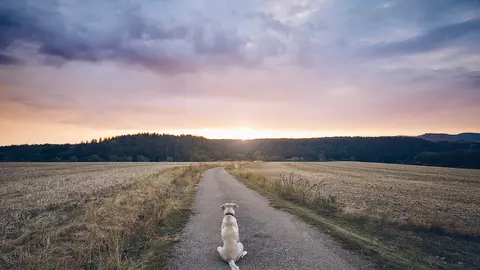 Iată gândurile care și ție îți trec câteodată prin minte... deși nu recunoști: