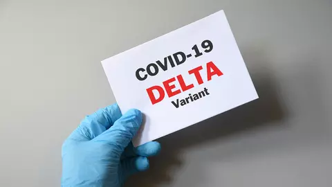 Tulpina Delta, număr de cazuri în creștere. Litoralul este cea mai afectată zonă de la noi din țară. Iată care sunt simptomele