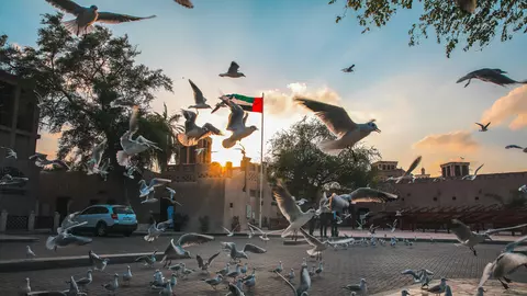 Hoteluri accesibile în Dubai