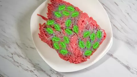 Salmonella. Ce este infecția cu Salmonella?
