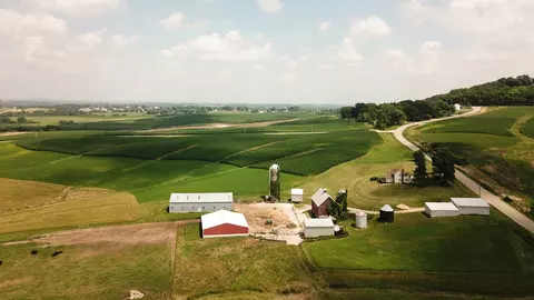 4 idei de afaceri profitabile în mediul rural