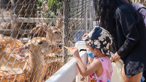 Omicron a fost găsit la animale! Asta ar trebui să ne îngrijoreze